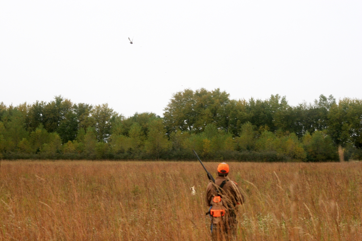 Group%201%20Field%20Wiatte%27s%20bud%203.jpg