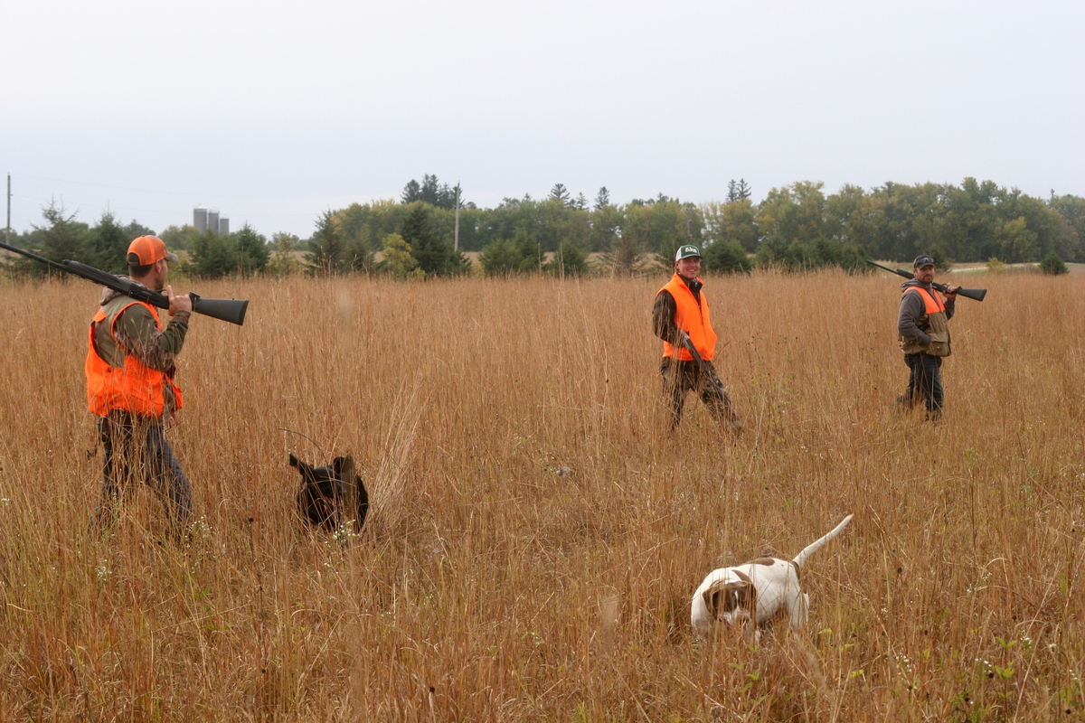 Group%203%20Field%20Watson%20Group%2013.jpg