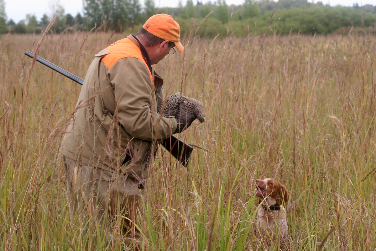 Group%204%20Field%20Mike%20M.%20w%20dog%204.jpg