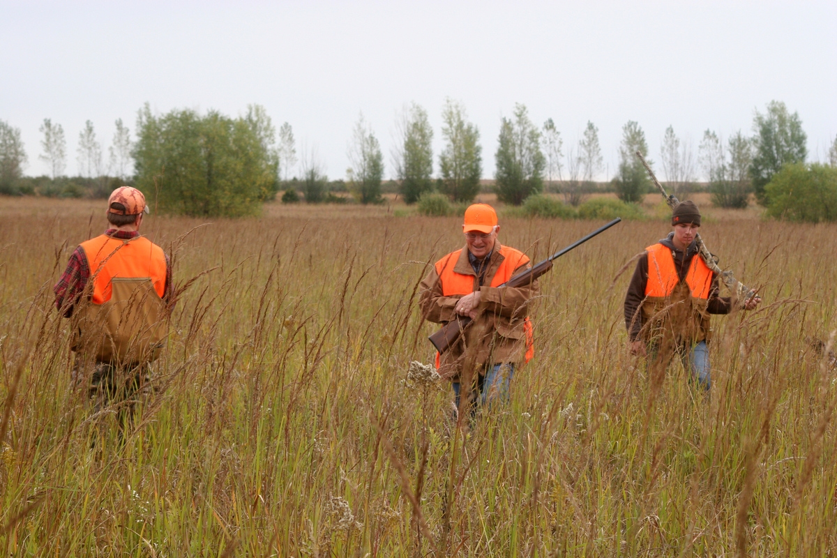 Group%205%20Field%20group%204.jpg
