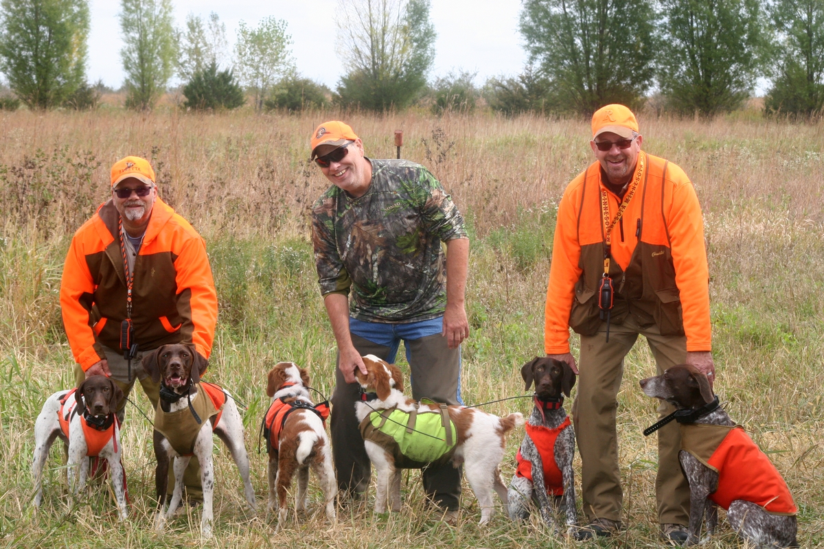 Group%206%20Field%20w%20dogs%202.jpg