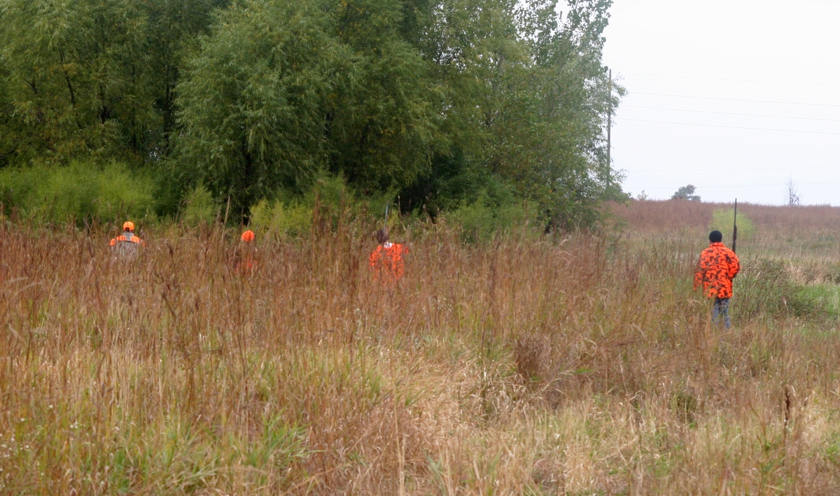 Group%207%20Field%20Line%20behind%205.jpg