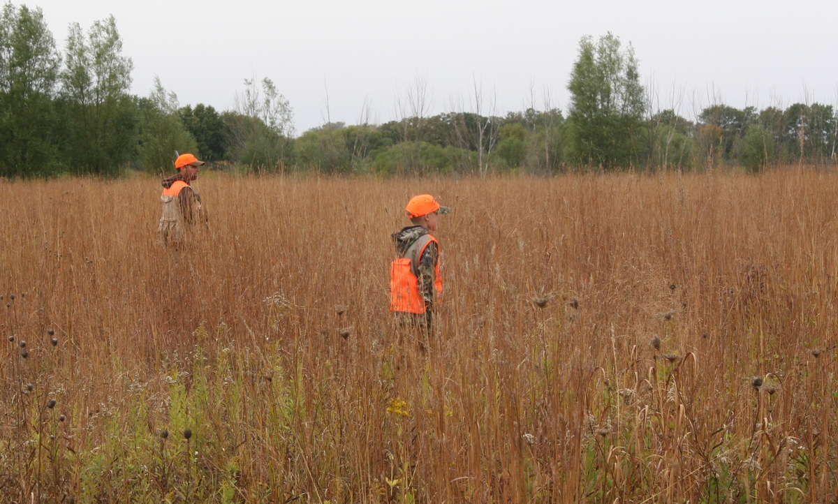 Group%208%20Field%201.jpg