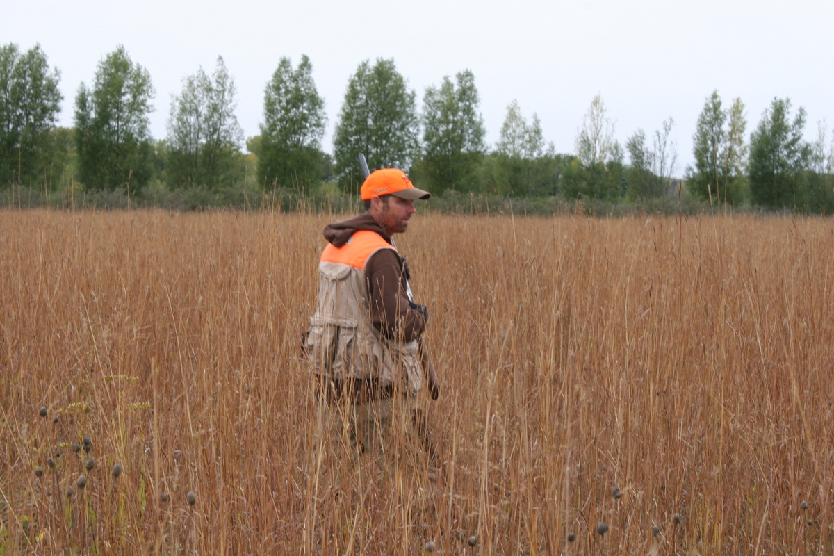 Group%208%20Field%20Jr.%202%204.jpg