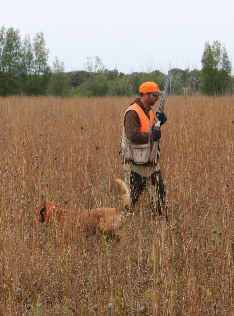 Group%208%20Field%20Jr.%203.jpg