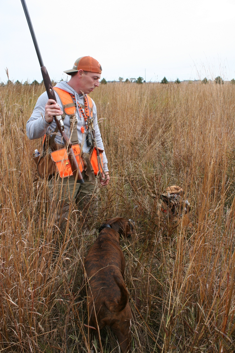 Group%209%20Field%20Andy%20G.%20w%20boxer%20%26%20dog%20wbird%203.jpg