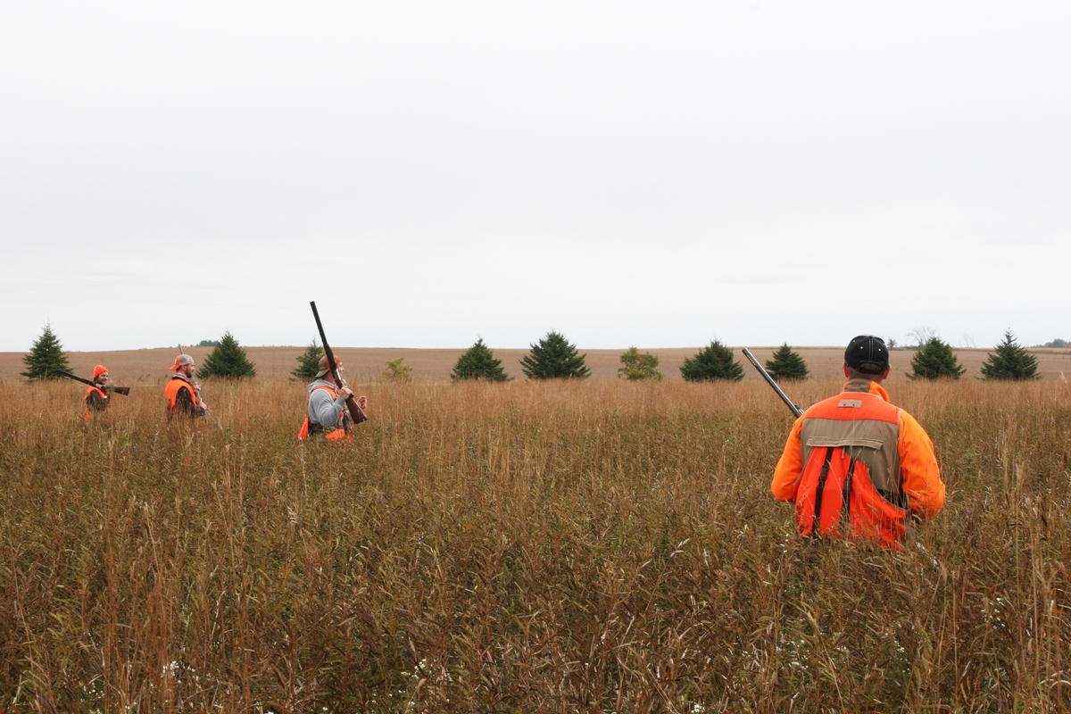 Group%209%20Field%20Line%206.jpg