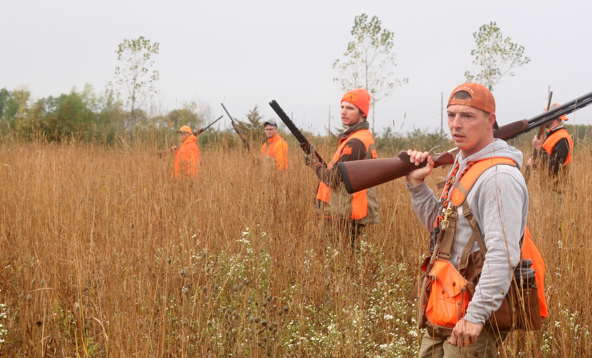 Group%209%20Field%20line%2014.jpg