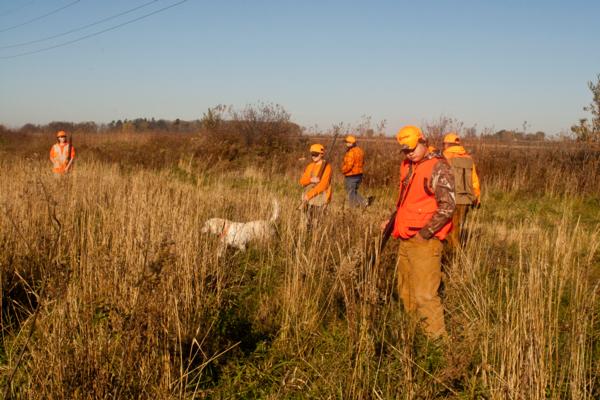 Group%20N%20Field%20-%202%20-%20w%20dogs.jpg