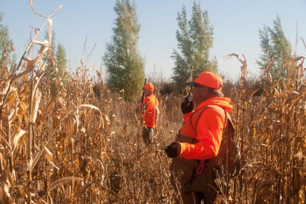 Gus%20Young%20Hunter%20n%20corn.jpg