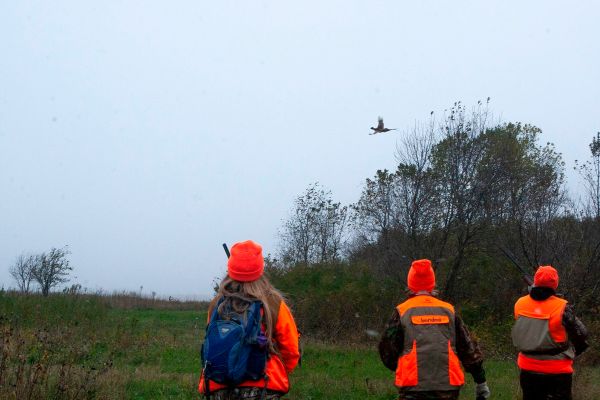 2019 Minnesota Governor's Pheasant Hunting Opener - Women's Hunt