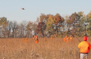 2016 YOUTH HUNT