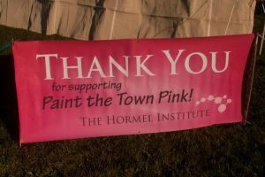 PaintTownPinkBanner_1.jpg