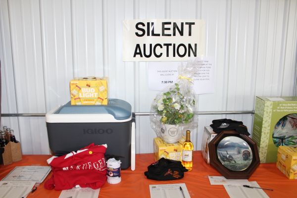 Silent%20Auction%207.jpg