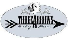 Three%20Arrows%20logo.jpg