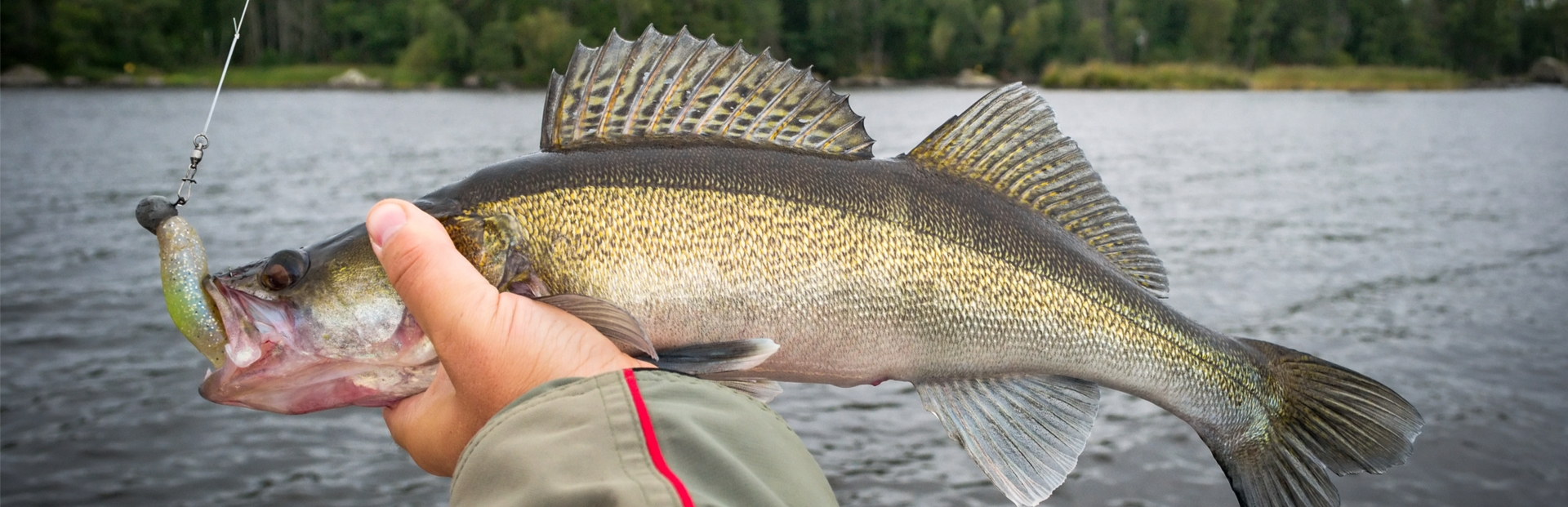 South Dakota Fishing Trips on The Missouri River