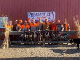 Pheasant Hunting