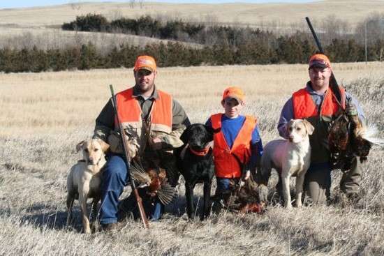 South Dakota Pheasant Habitat