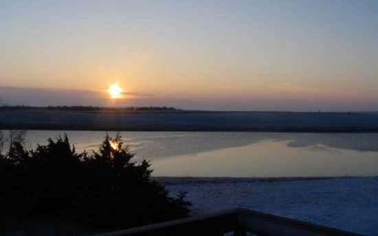 Waterfowl Habitat