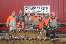 Pheasant Photo Gallery