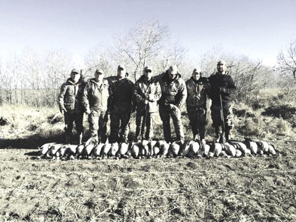 Decoy Spreads for Hunting Snows and Canada's 