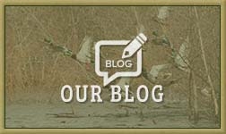 Our Blog