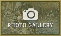 Photo Gallery