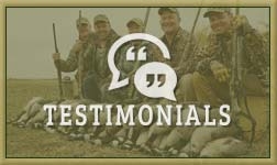 Our Testimonials