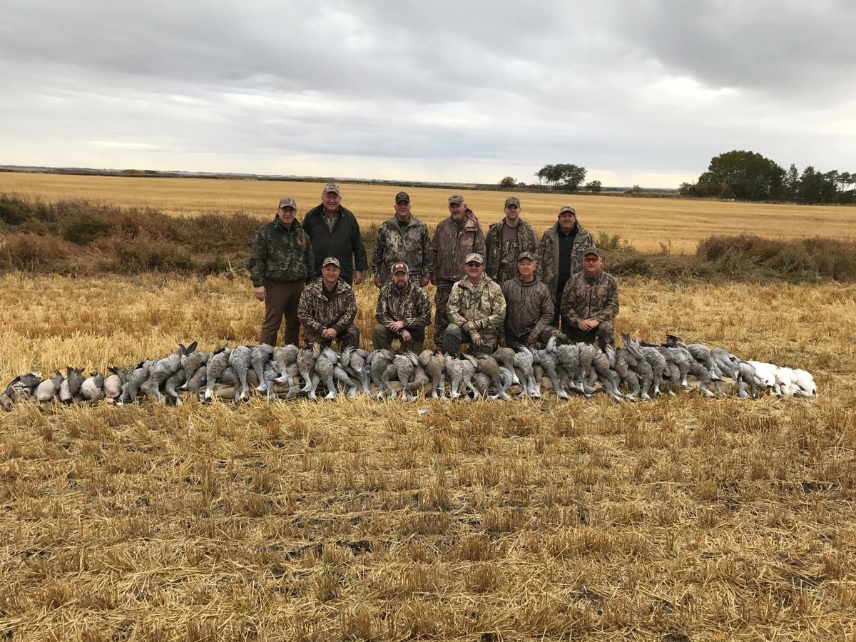 Sandhill Crane Hunting Saskatchewan