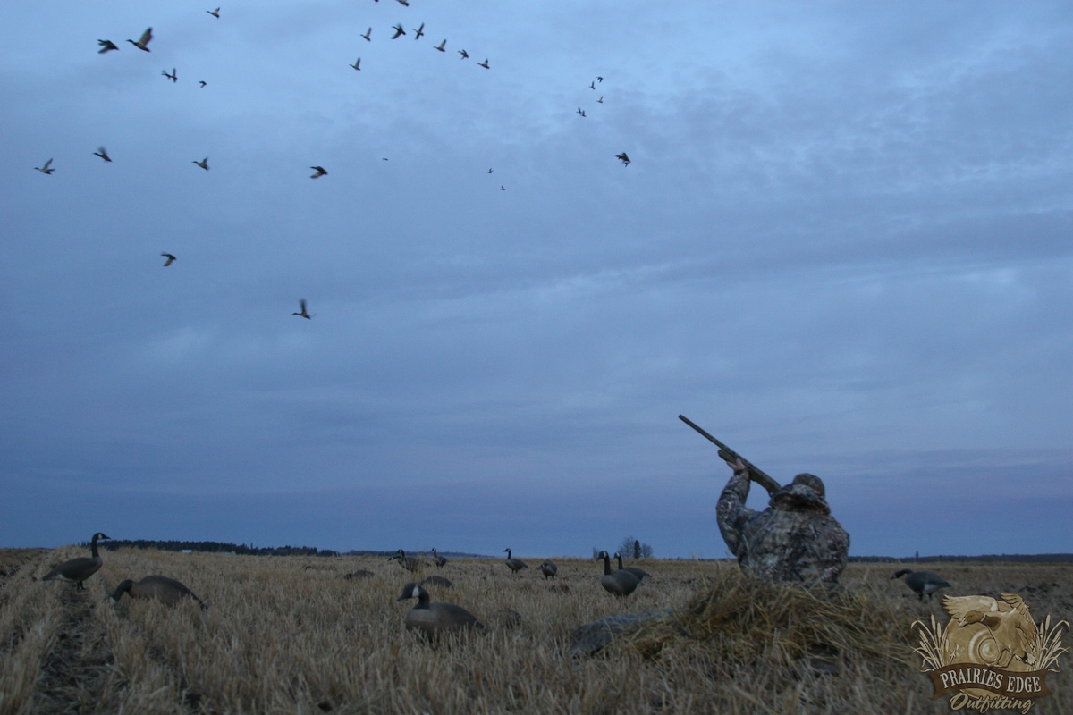 In Your Face Goose Hunting Action