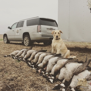 saskatchewan-waterfowl-hunting-142.jpg