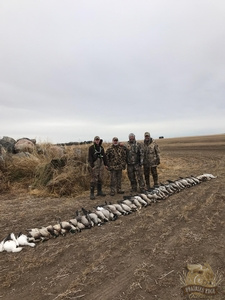 saskatchewan-waterfowl-hunting-204.jpg