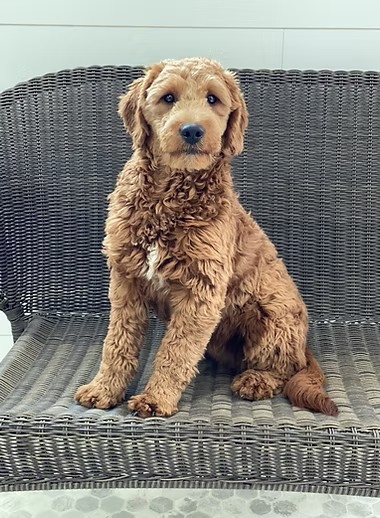 Minnie