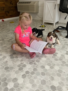 Sadie Educating the Pups