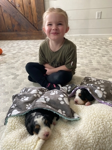 All Tucked in and Cozy
