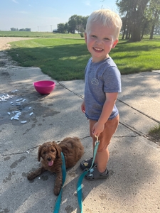 Fun in the Sun