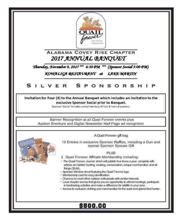 Silver Sponsorship