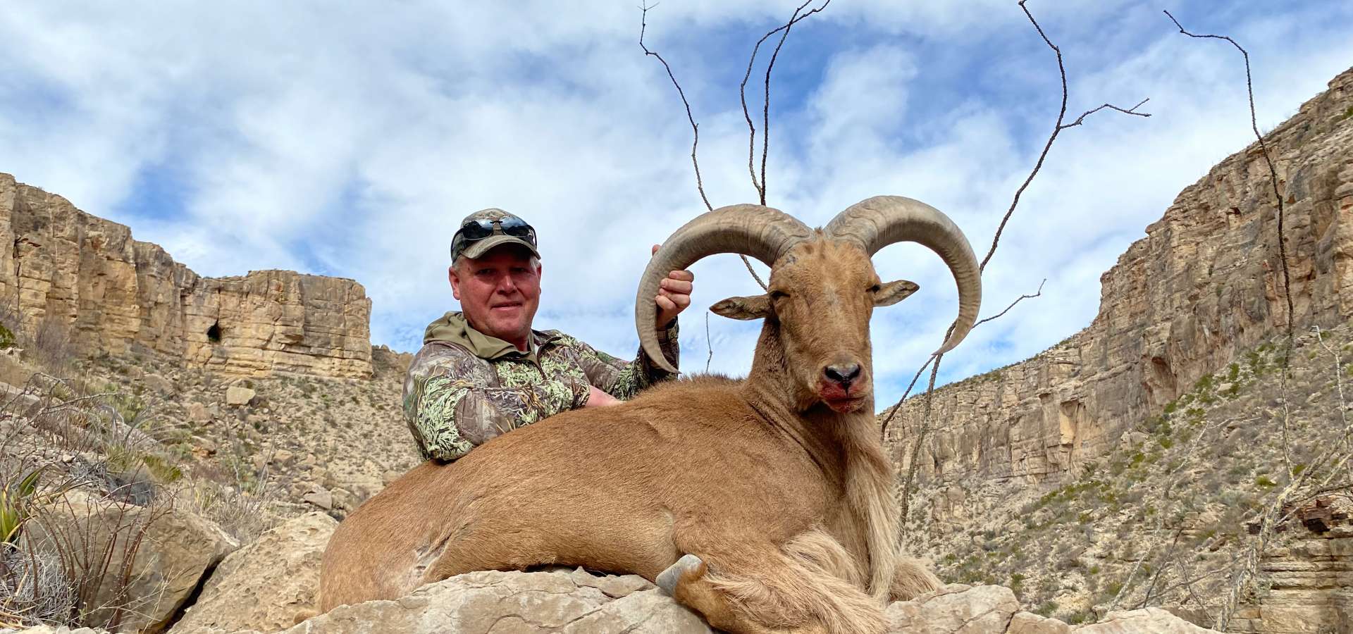 New Mexico & West Texas Barbary Sheep Hunts