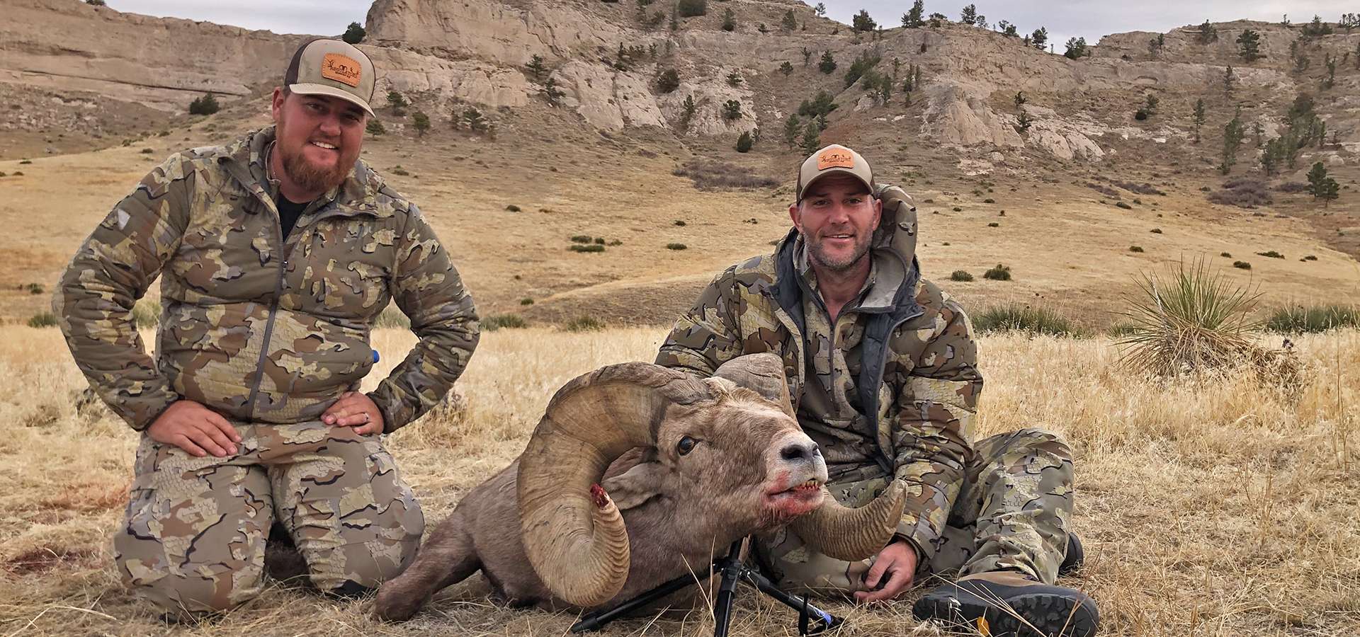 Guided Bighorn Sheep Hunts in New Mexico