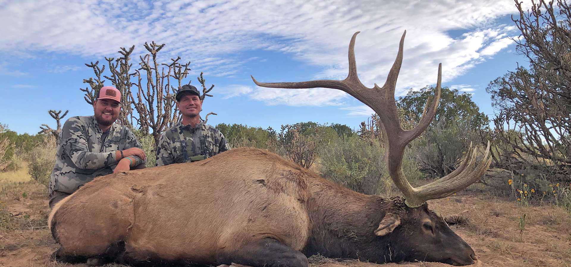 Guided Elk Hunts in New Mexico