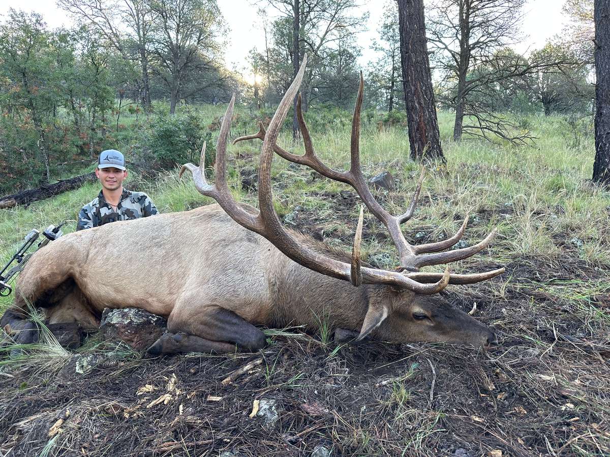 Archery Elk Hunt