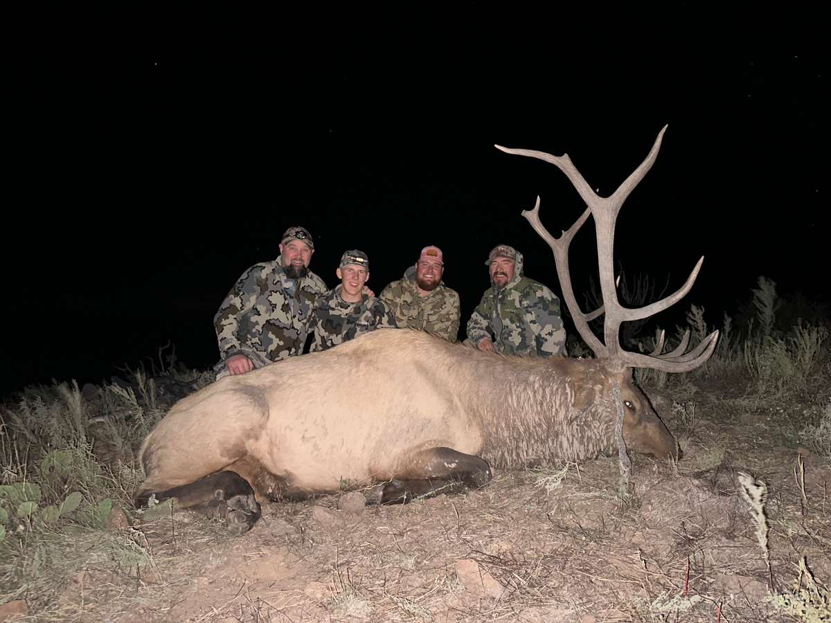 New Mexico Bull Elk