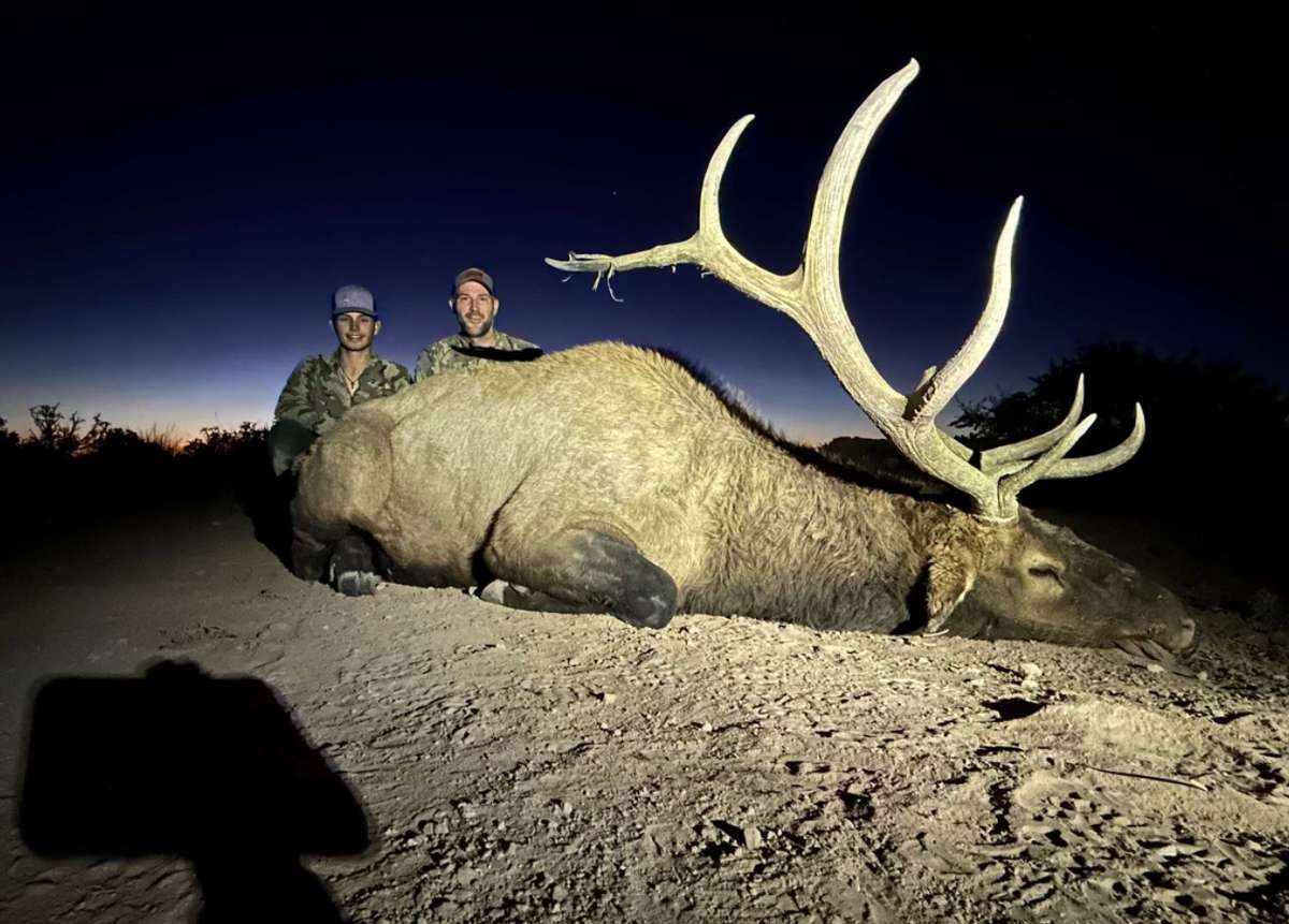 Trophy New Mexico Elk