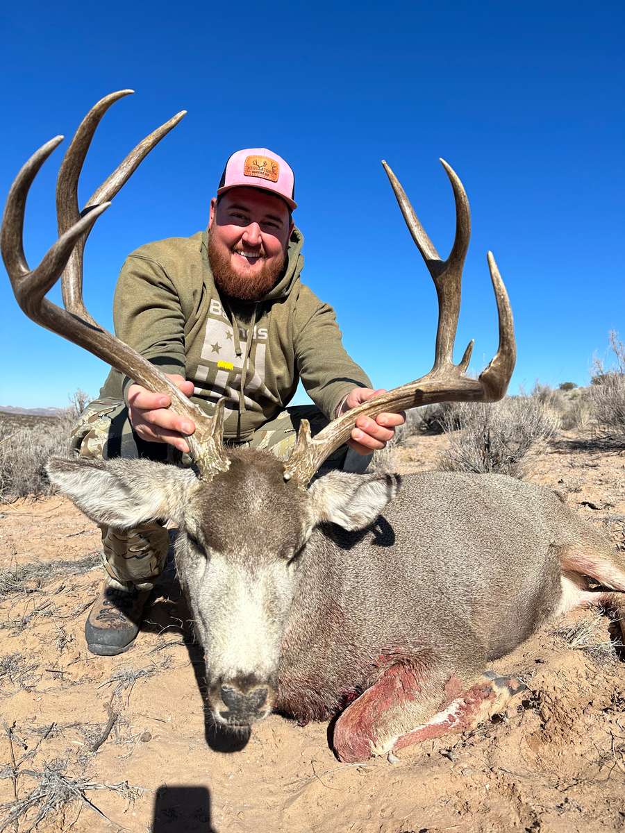 Mule Deer Hunt Pricing