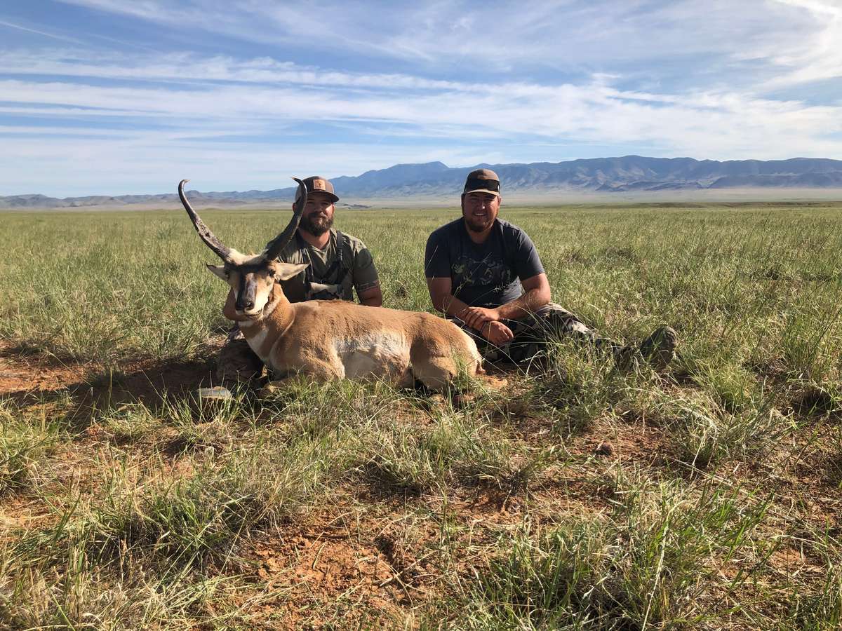 New Mexico Pronghorn