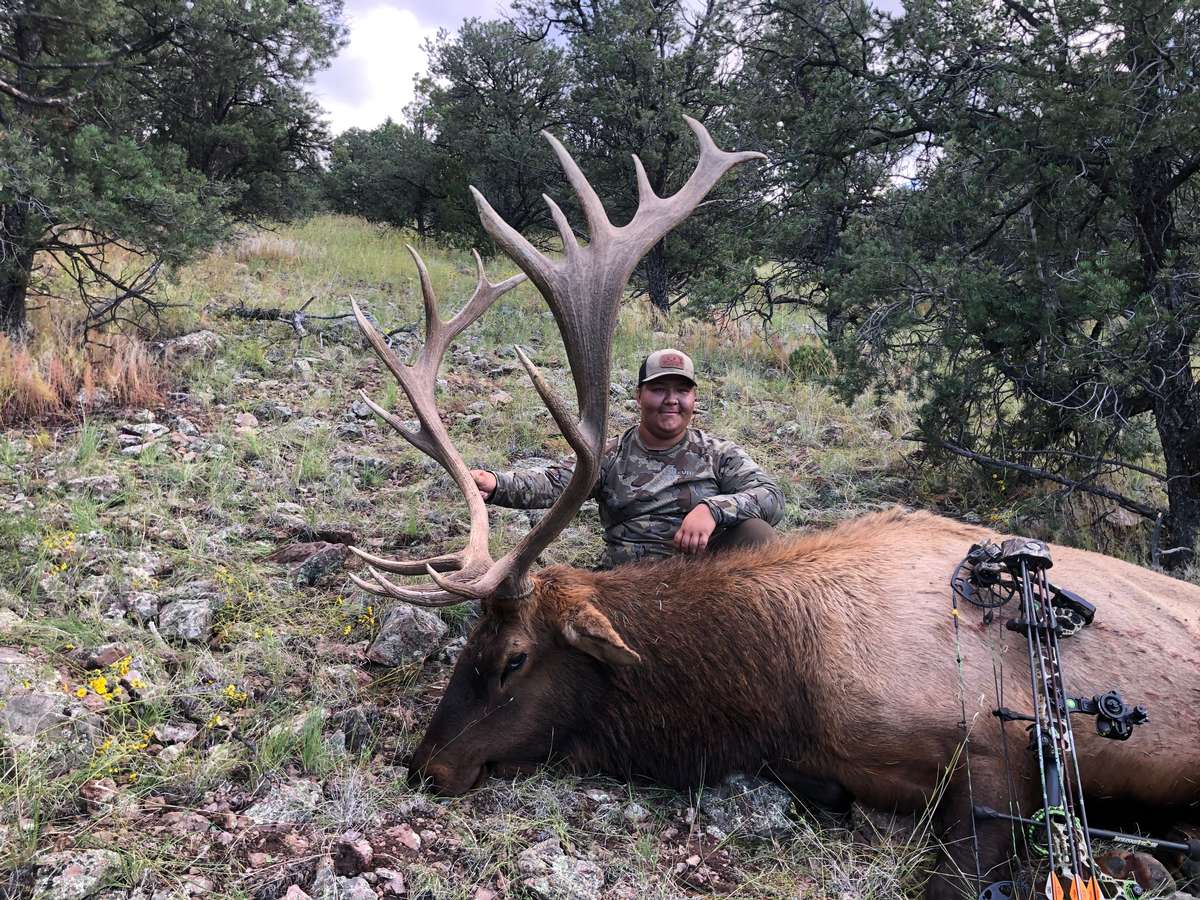 New Mexico Bull Elk