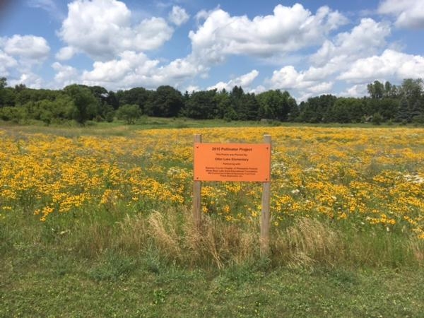 Otter Lake Elementary Pollinator Update