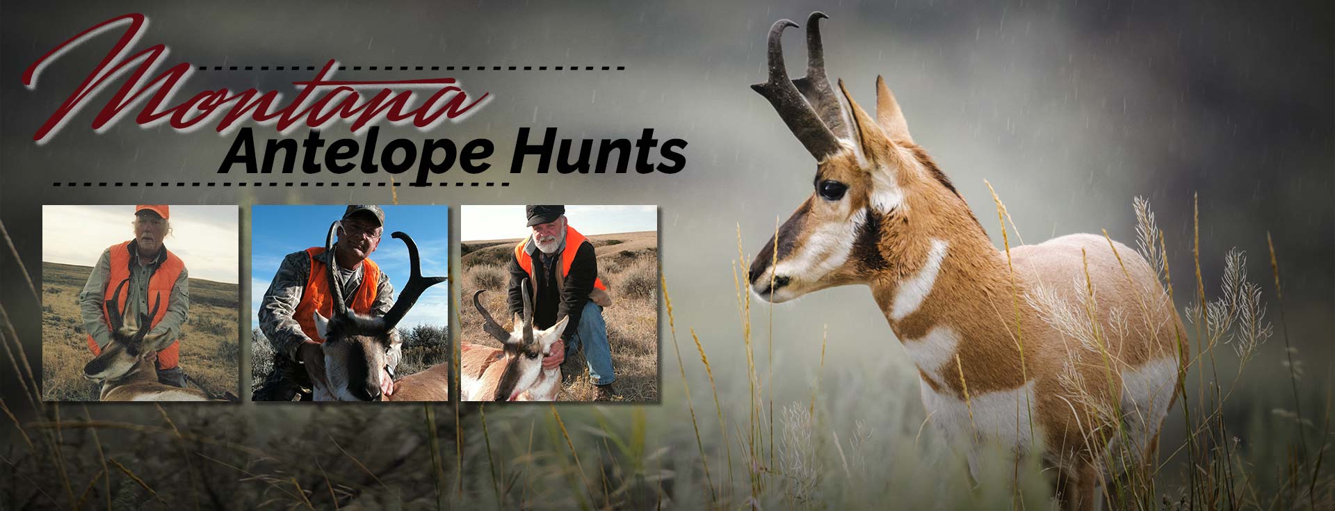 Montana Archery Antelope Pronghorn Hunting