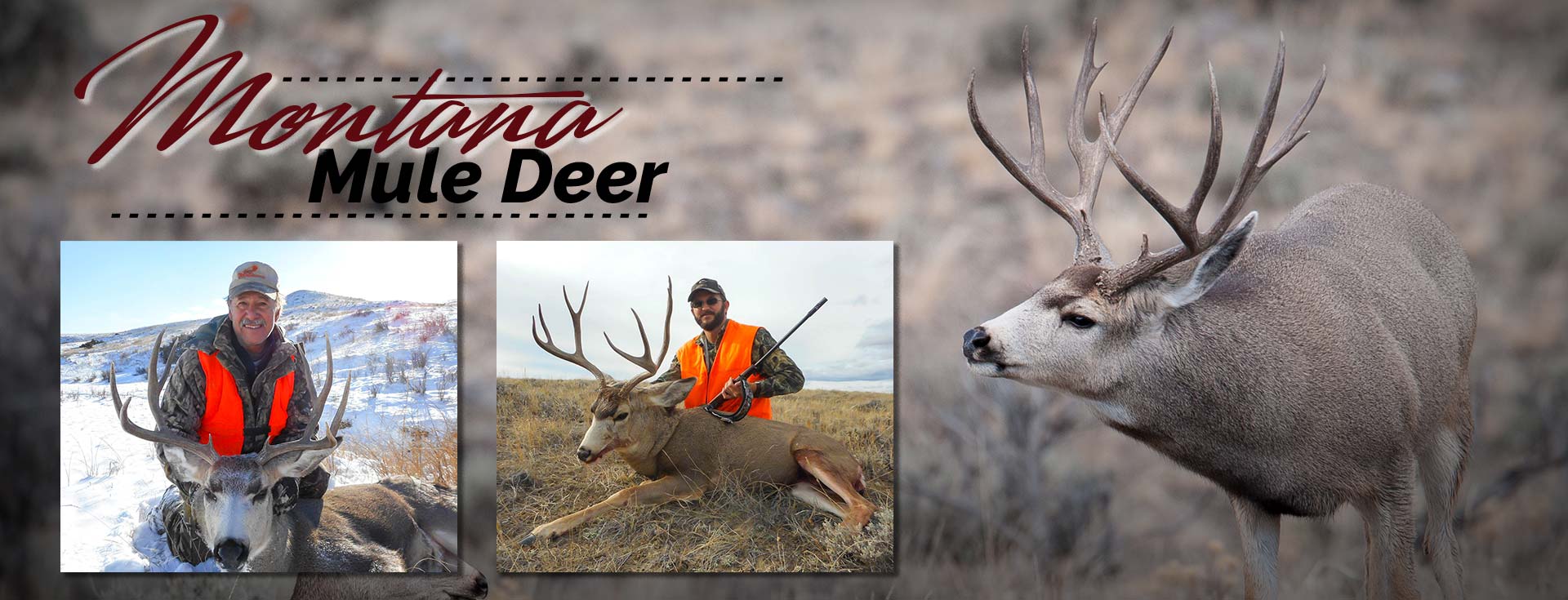 Montana Mule Deer Hunting Guide & Outfitter