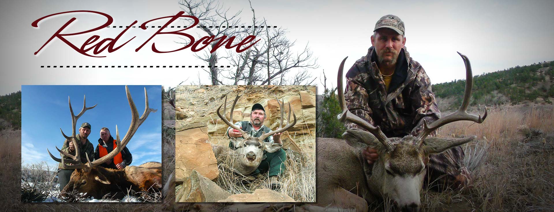 Elk Hunting Photo Gallery